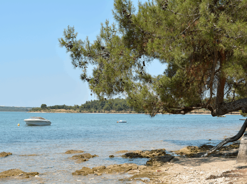 Hondenstrand in Medulin