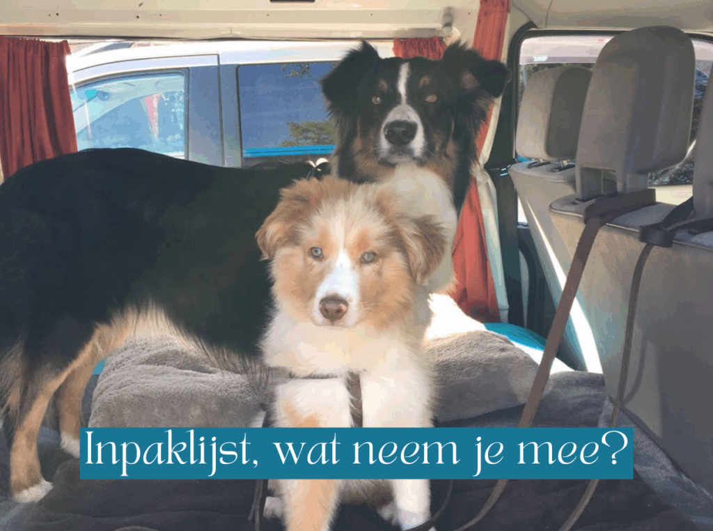 Inpaklijst voor je hond